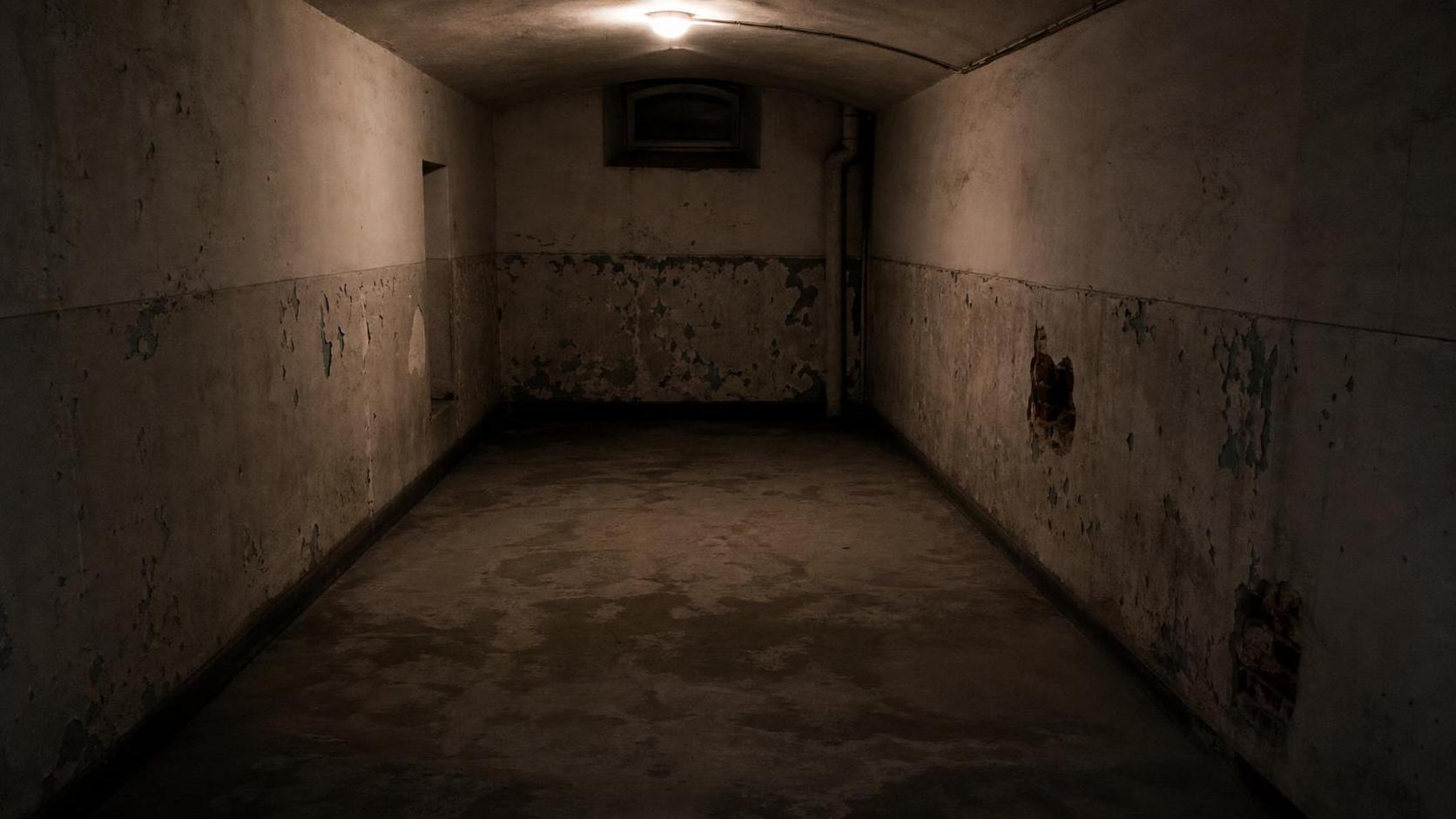 Romanov: la cantina, il DNA e il fantasma di Anastasia